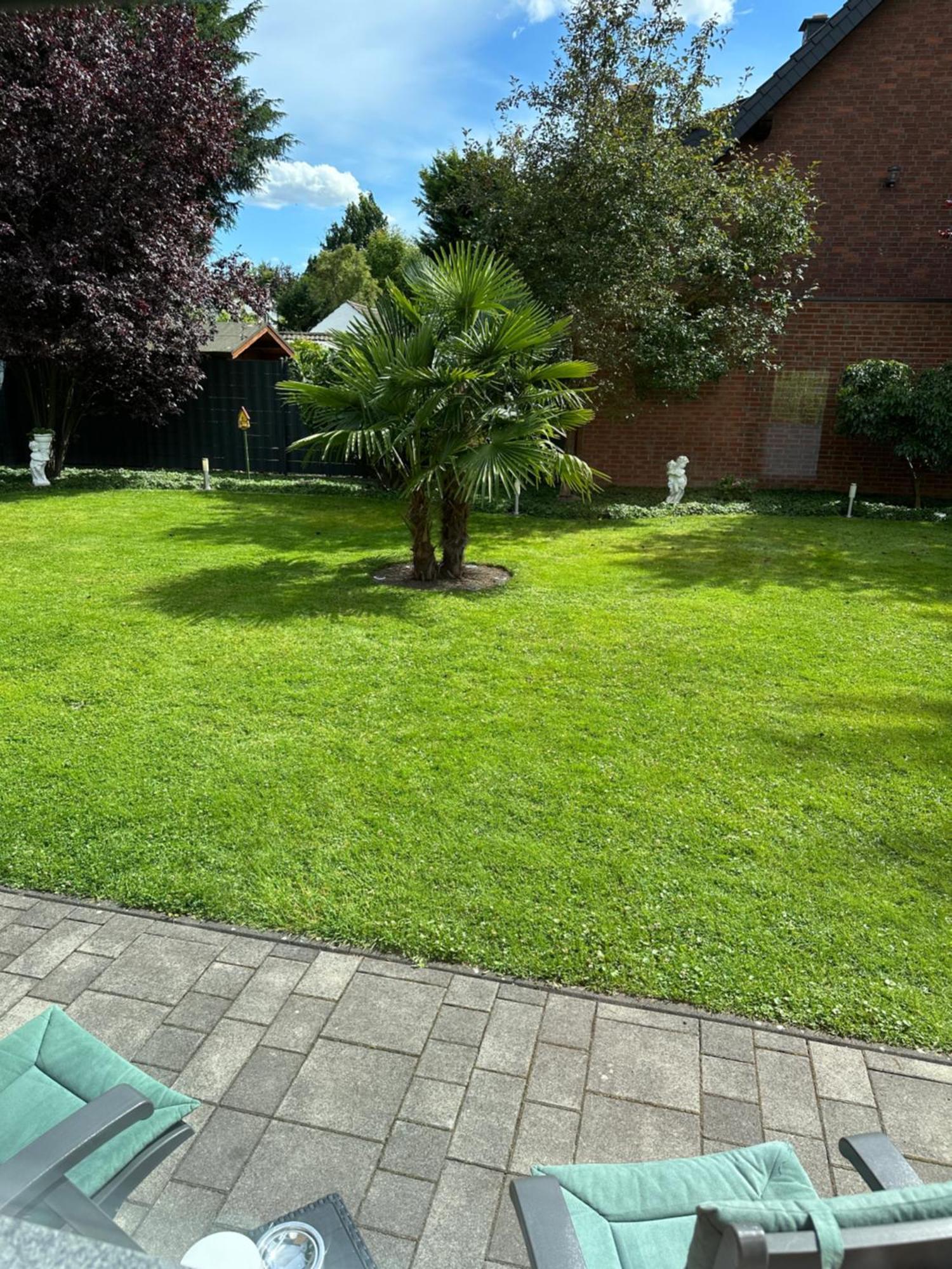 Auszeit Apartment Duesseldorf المظهر الخارجي الصورة